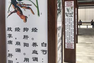 醫(yī)院一角